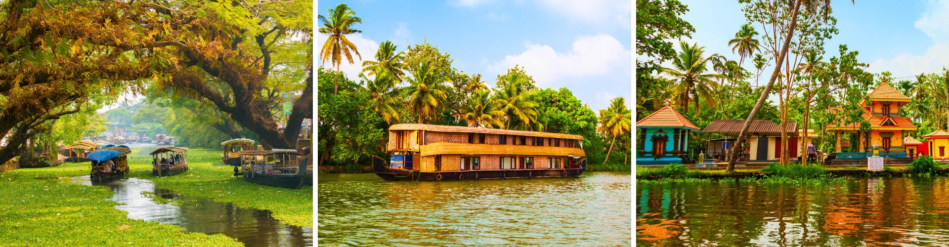 Alappuzha India Alappuzha India WOLO Travel